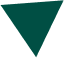 Triangle Icon